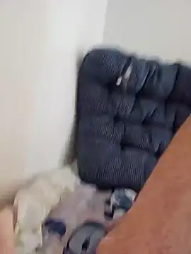 Snapshot of jorwee chatting on 3, 12, 2024 jorwee online show from 3, 12, 2024