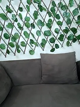 Bold-Cat online show from 15, 10, 2025