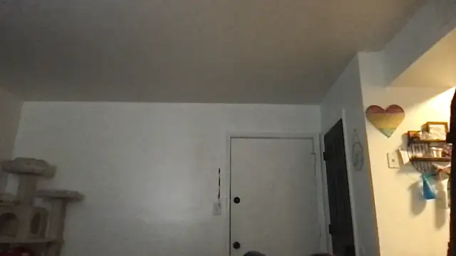 SpunCandy online show from 17, 1, 2026