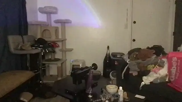 SpunCandy online show from 21, 3, 2026