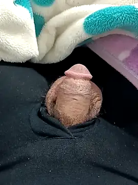 japo56 online show from 28, 11, 2025