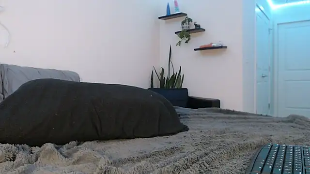 Snapshot of fallongrayxo chatting on 8, 3, 2025 fallongrayxo online show from 8, 3, 2025