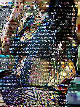 sneha rose online show from 17, 9, 2025