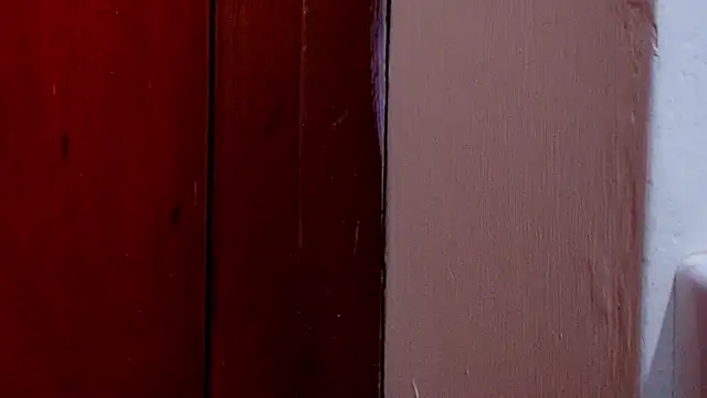 anisha x online show from 25, 10, 2025