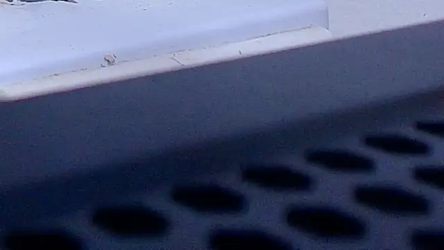 anisha x online show from 9, 10, 2025