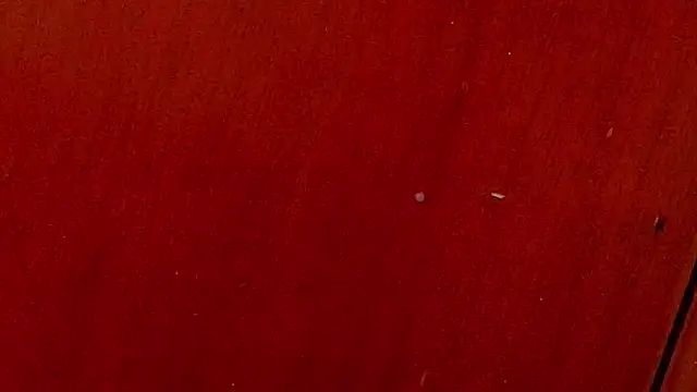 anisha x online show from 4, 10, 2025