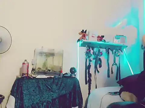 kimkardasha98 online show from 23, 12, 2025