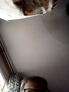 J83560Jason online show from 14, 9, 2025