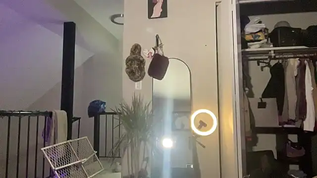 babybimbo online show from 12, 1, 2025