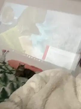 AnnyCherry  online show from 6, 3, 2026