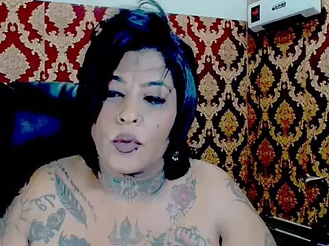 Indiancatz2 online show from 3, 2, 2026