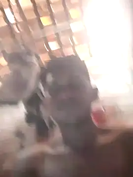 fudedor224 online show from 6, 3, 2025