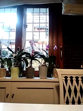 Frabox65 online show from 27, 3, 2026