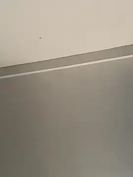 calleaaaa online show from 24, 10, 2025