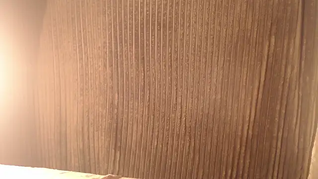 1BECHA1 online show from 12, 11, 2025