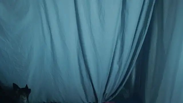 1BECHA1 online show from 2, 10, 2025