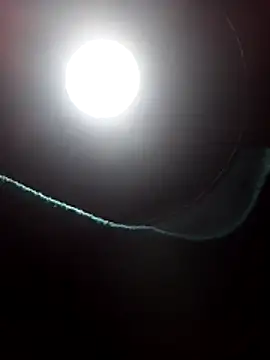 dangerman94 online show from 22, 3, 2026