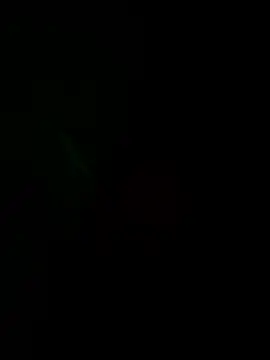 josle24 online show from 8, 12, 2024