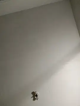 Bigchorizo559 online show from 14, 4, 2026