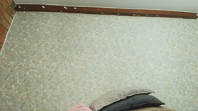 Snapshot of nicol_f chatting on 1, 10, 2025 nicol f online show from 1, 10, 2025