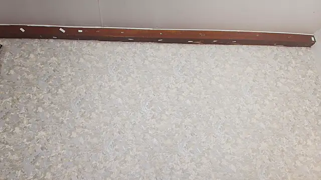 Snapshot of nicol_f chatting on 5, 3, 2025 nicol f online show from 5, 3, 2025