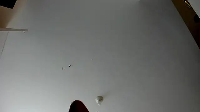 evely coelloo online show from 5, 11, 2025