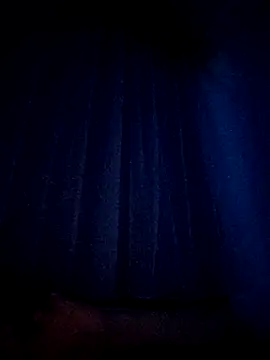 intx800 online show from 7, 3, 2026