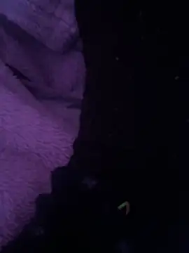 ahmedtop308 online show from 5, 3, 2026