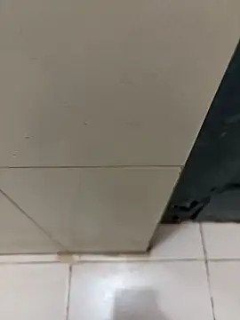 Snapshot of nangakings chatting on 17, 12, 2025 nangakings online show from 17, 12, 2025