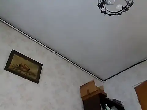 mariusica1xh online show from 1, 11, 2025