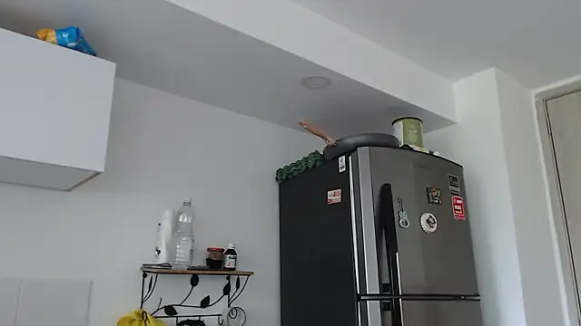 thomas gun online show from 3, 2, 2026