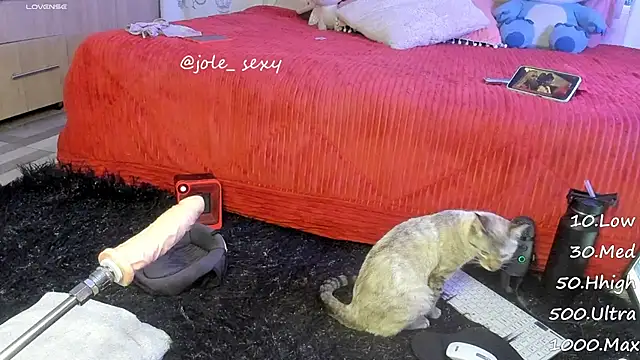 jolee   online show from 10, 1, 2025