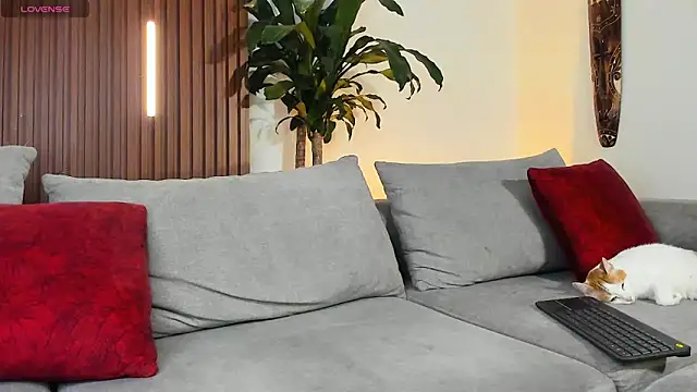 lucasanto  online show from 11, 4, 2026