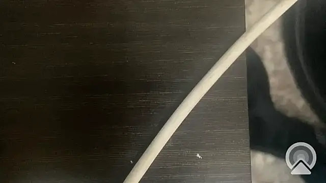 shuai321 online show from 13, 2, 2025