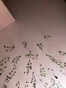 -Sexy Barbie- online show from 3, 10, 2025