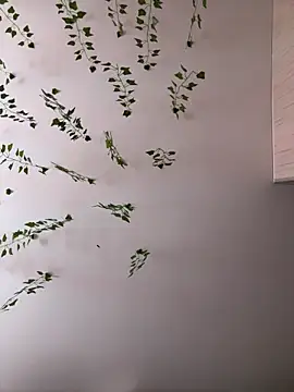 -Sexy Barbie- online show from 16, 9, 2025