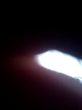 rags pussylicker online show from 9, 9, 2025