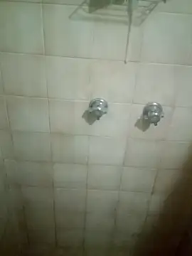 Professor Leo  online show from 11, 2, 2026