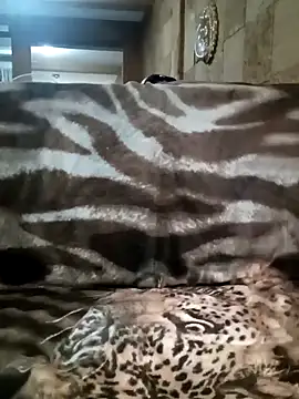 Professor Leo  online show from 7, 3, 2025