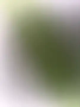 mrwright878787 online show from 27, 12, 2024