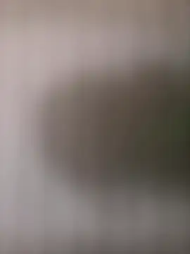 mrwright878787 online show from 4, 10, 2025