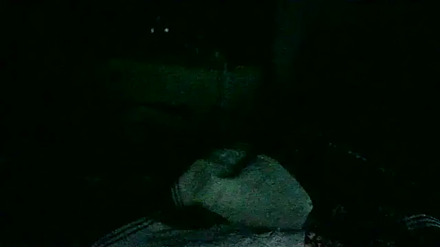 Snapshot of DI4MOND_FIR3 chatting on 18, 11, 2025 DI4MOND FIR3 online show from 18, 11, 2025