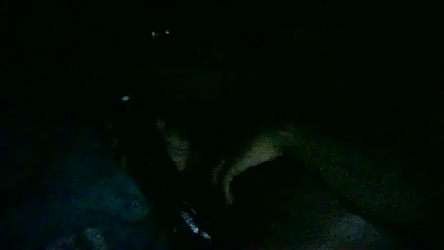 Snapshot of DI4MOND_FIR3 chatting on 7, 11, 2025 DI4MOND FIR3 online show from 7, 11, 2025