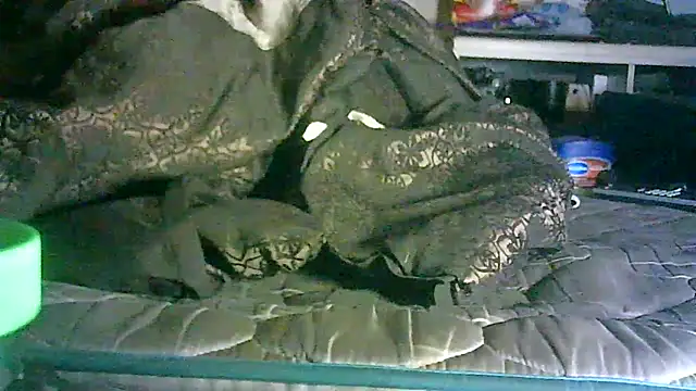 Snapshot of DI4MOND_FIR3 chatting on 11, 6, 2026 DI4MOND FIR3 online show from 11, 6, 2026