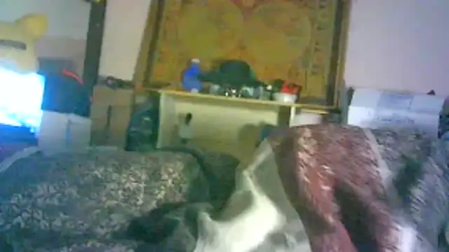 DI4MOND FIR3 online show from 3, 2, 2026