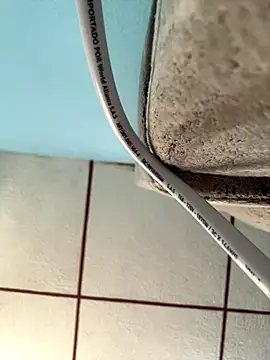 dulce celeste15 online show from 7, 10, 2025