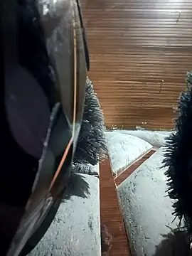 dulce celeste15 online show from 15, 1, 2026