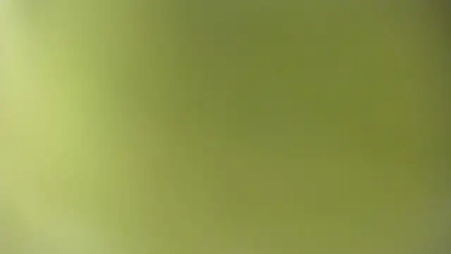 KOURTNEY-- online show from 28, 9, 2025