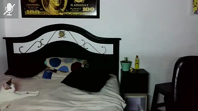 Snapshot of alexxa_Rooa chatting on 27, 11, 2025 alexxa Rooa online show from 27, 11, 2025