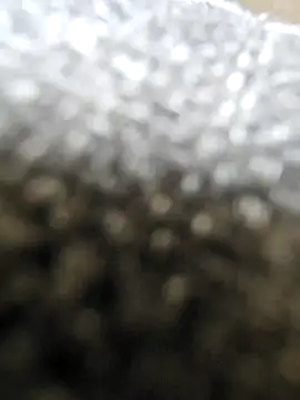 Moonbadboyss online show from 9, 10, 2025